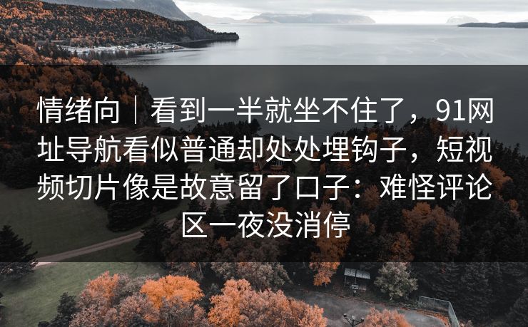 情绪向|看到一半就坐不住了,91网址导航看似普通却处处埋钩子,短视频切片像是故意留了口子:难怪评论区一夜没消停